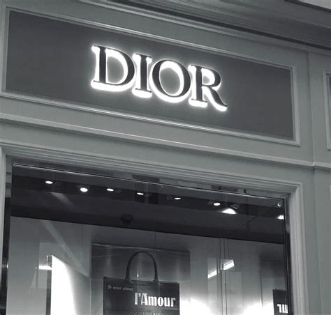 aesthetic dior.